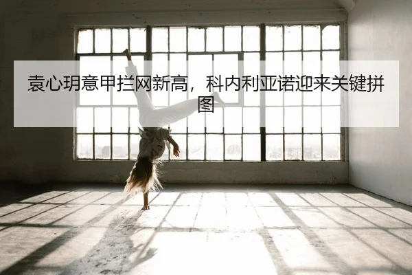 yuan-xin-yue-yi-jia-lan-wang-xin-gao-ke-nei-li-ya-nuo-ying-lai-guan-jian-pin-tu-2-146.jpg